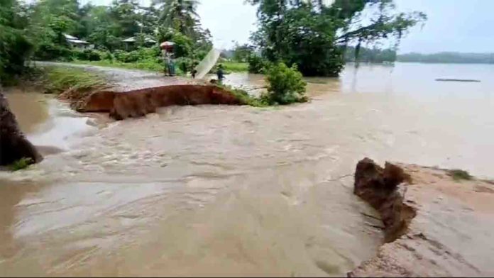 Karimganj Floods as Longai River Rises Above Danger Levels