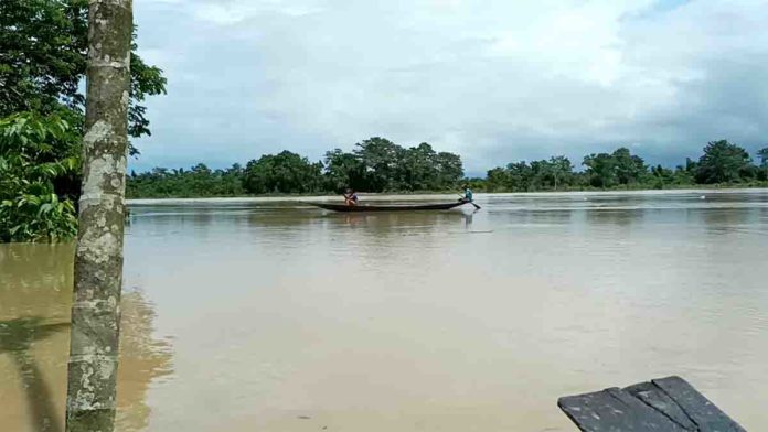 Live Update Rising Water Levels in Barak, Katakhal and Kushiyara Rivers